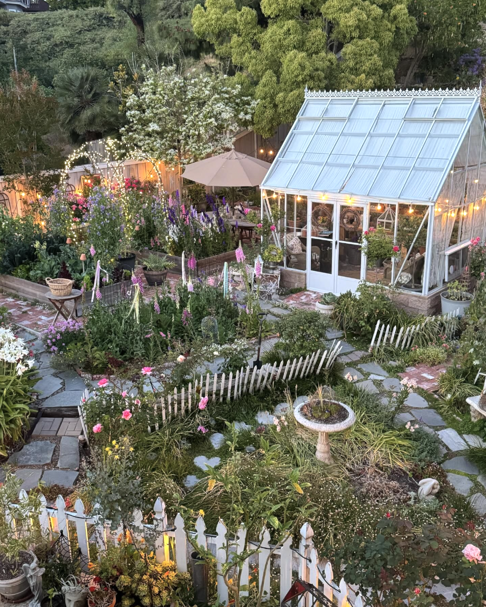 POST FROM: @rootedinthyme, dream backyard 