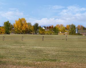 MIDDLETON-1 - Quail Haven